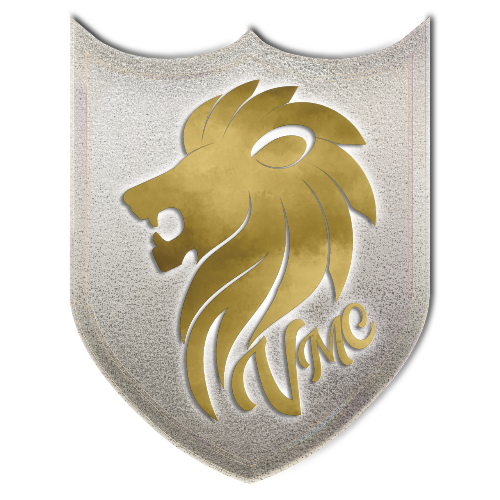 Valor Media Consultants